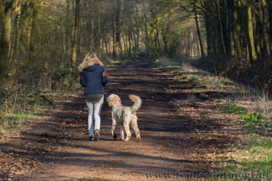 20160217_Femke-Ontmoet_Nikki-en-Doezel_0054-660x440.jpg