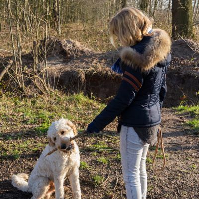 20160217_Femke-Ontmoet_Nikki-en-Doezel_0092-400x400.jpg