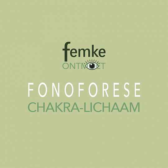 Fonoforese-Chakra-lichaam-1703758874.jpg